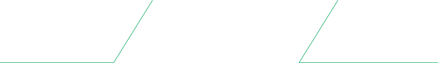 vega internet gigabit